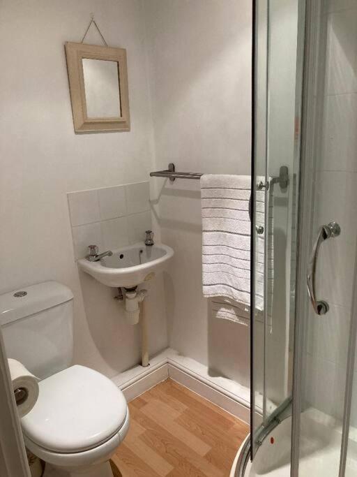 Studio Annexe With Separate Shower Room Broadhempston エクステリア 写真